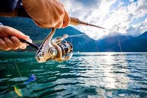 Top 5 fishing gadgets for 2022